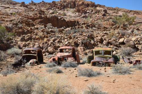 Namibia Africa Wagon Safari Wildlife Dare Dry