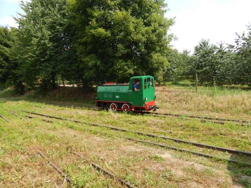 Narrow-Gauge Railway Train Locomotive
