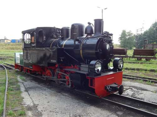 Narrow-Gauge Railway Train Wagons Locomotive Rails