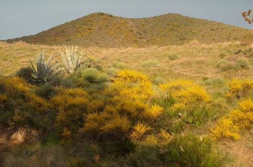 National Park Cabo De Gata Spain Rest Idyll Nature