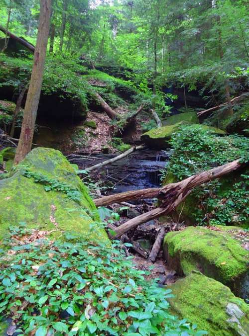 Nature Hiking Waterfall Rock Hike Scenery Alabama