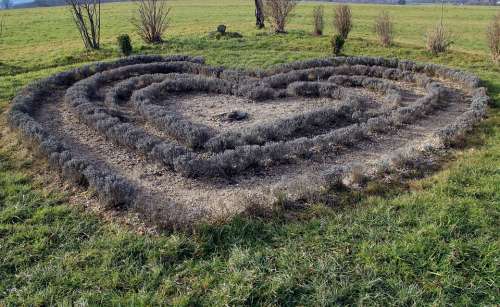 Nature Garden Heart Meadow Grass Symbol Love