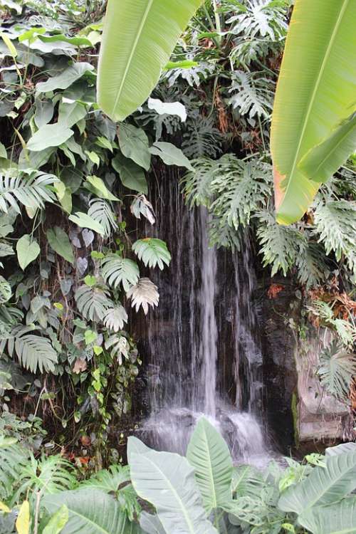 Nature Waterfall Tropics Green Landscape Rock