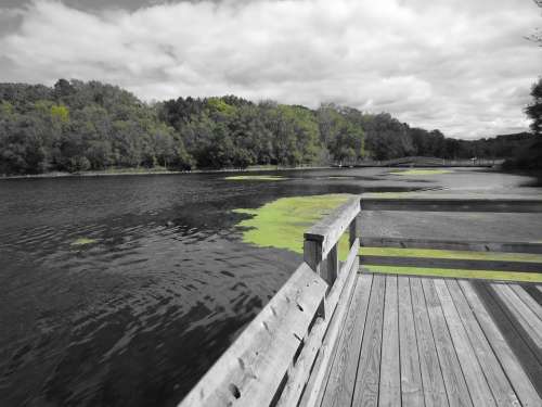 Nature Water Dock