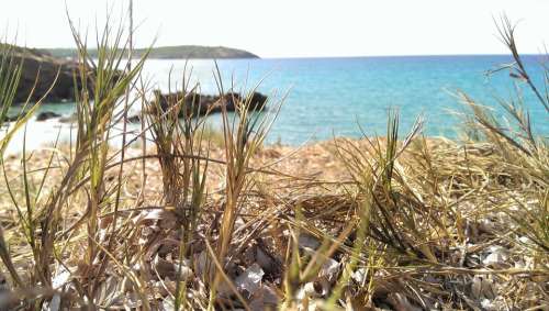 Nature Sea Grass Peace Summer Sardinia