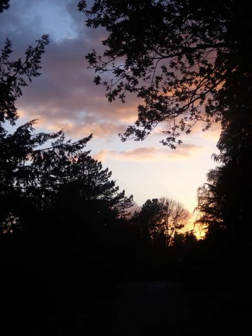 Nature Sky Sunset Landscape Abendstimmung Dusk