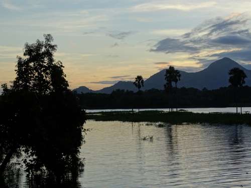 Nature Kerala India Green Landscape Sunset Sky