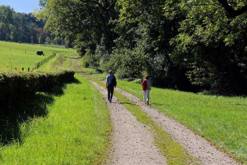 Nature Hiking Walk Leisure Recovery Away Lane