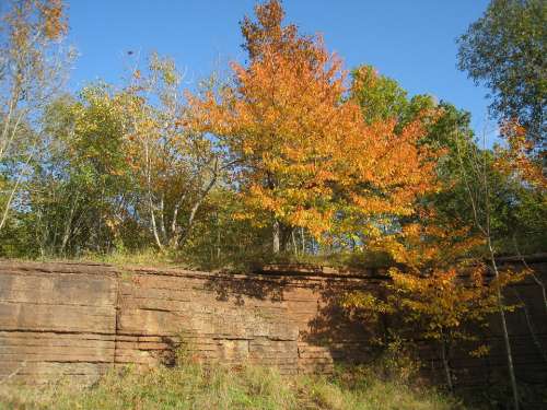 Nature Sweden Tree Autumn Limestone Quarry