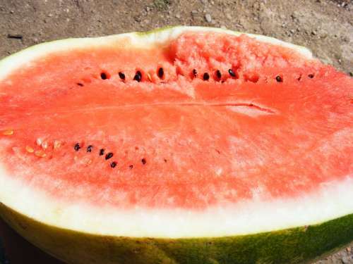 Nature Fruits Vegetables Water Melon Lubenita