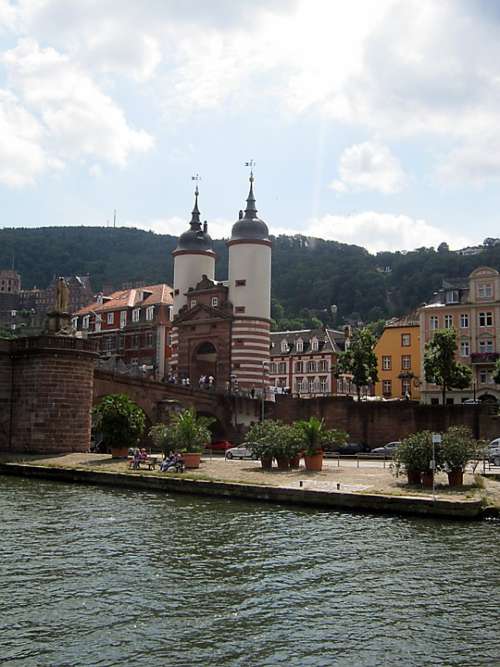 Neckar Heidelberg River Current Shipping Summer