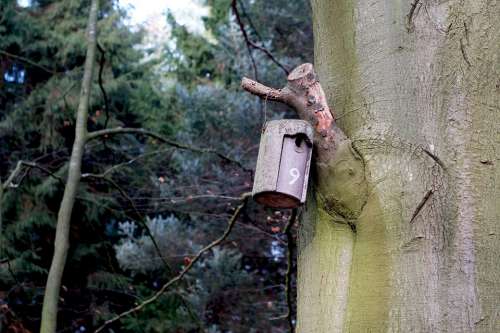Nesting Box Aviary Forest Tree Shelter