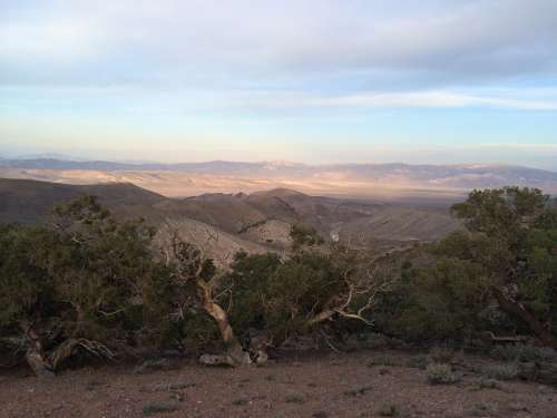 Nevada White Mountains Desert Mountains Usa Dry