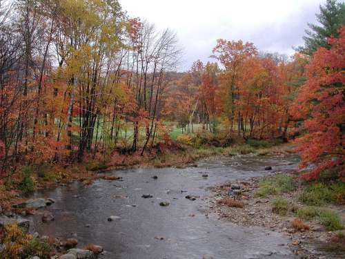 New Hampshire Jackson Stream Brook Fall Colors
