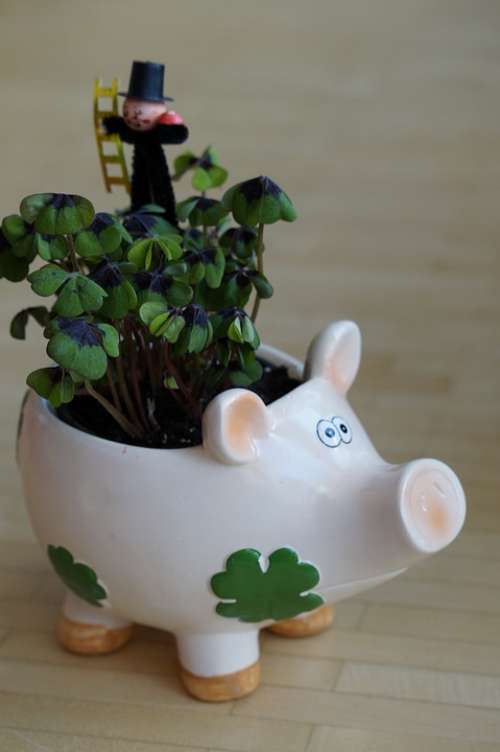 New Year'S Eve New Year'S Day Lucky Charm Pig