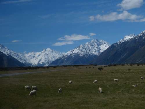 New Zealand Nature Landscape South Island