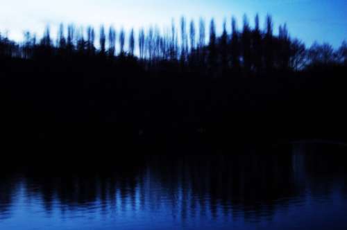 Night Pond Trees Landscape Out Of Focus Lake