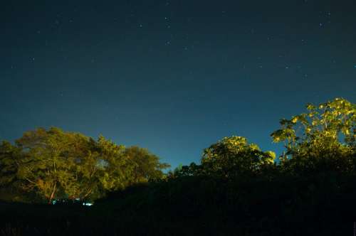 Night Sky Lights Night Blue Long Exposure Trees