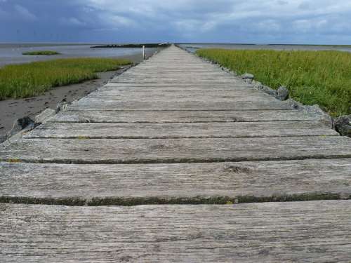 North Sea Web Wadden Sea Ebb Boards Lonely