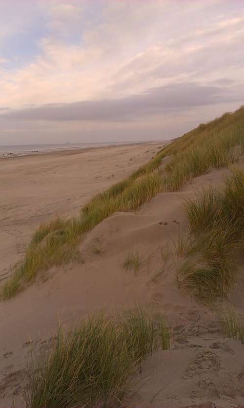 North Sea Dune Stranddüne Beach Sea Sand