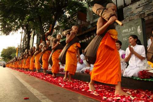 Novice Buddhists Walk Rose Petals Thailand