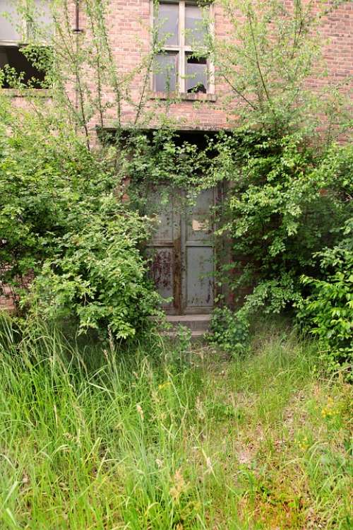 Old Factory Decay Door Ruin Abandoned Building