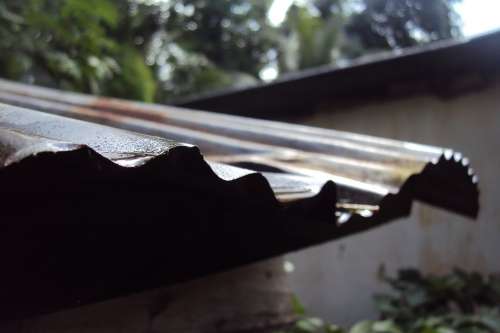 Old Roof Sheet Wet Rainy Rain Rainy Day Rusty