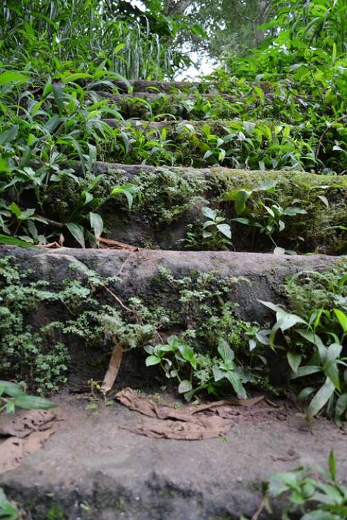 Old Steps Rock Steps Woods Shrubs Rocks Sri Lanka