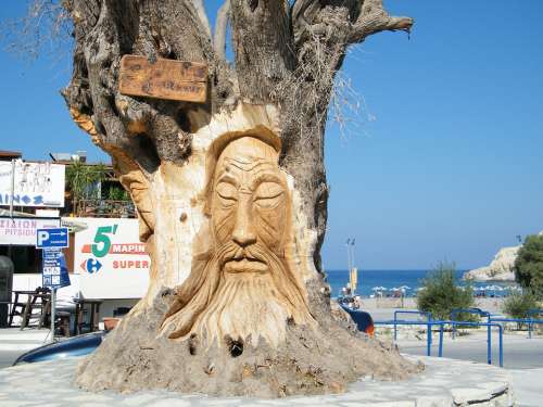 Olive Tree Face Crete Vacations Island Gnarled