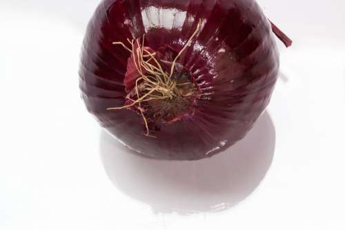 Onion Allium Cepa Red Onion Ganz Sulfide Containing