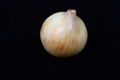Onion Vegetable Food Organic