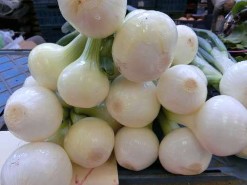 Onion Vegetables Healthy Market