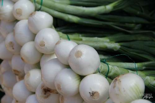 Onions Vegetable Green White Nature Power Healthy