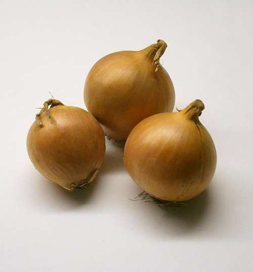 Onions Vegetables Ingredient Food Eat Edible