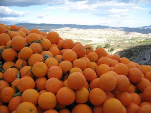 Orange Spain Sunny Oranges Citrus Vitamins