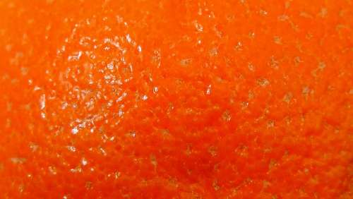 Orange Peel Orange Sweet Fruity Fruit Surface