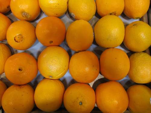 Oranges Fresh Healthy Food Fruit Juice Yellow