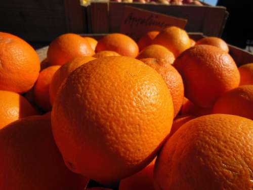 Oranges Orange Close-Up Colorful Sweet Tasty