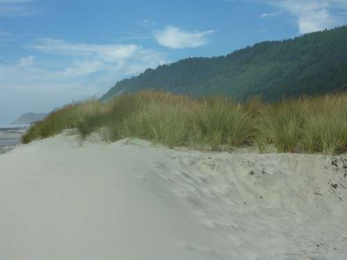 Oregon Dune Sand Ocean Beach Pacific Shoreline