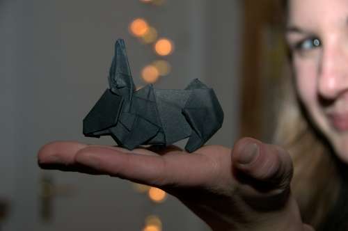 Origami Rabbit Paper Fold Hand Hare Black Tinker