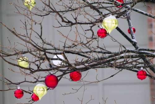 Ornament Cold Tree Winter Decoration