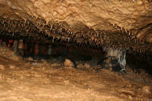 Oselle Caves France