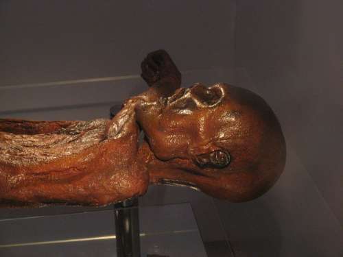 Ötzi Human Mummy