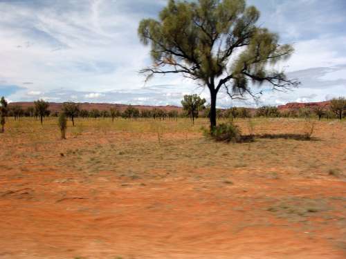 Outback Bush Steppe Desert Australia Red Dry