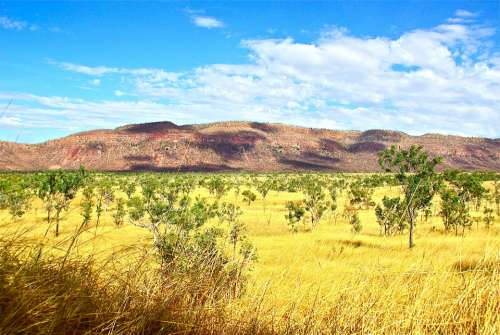 Outback Australia Rural Aussie Environment Bush