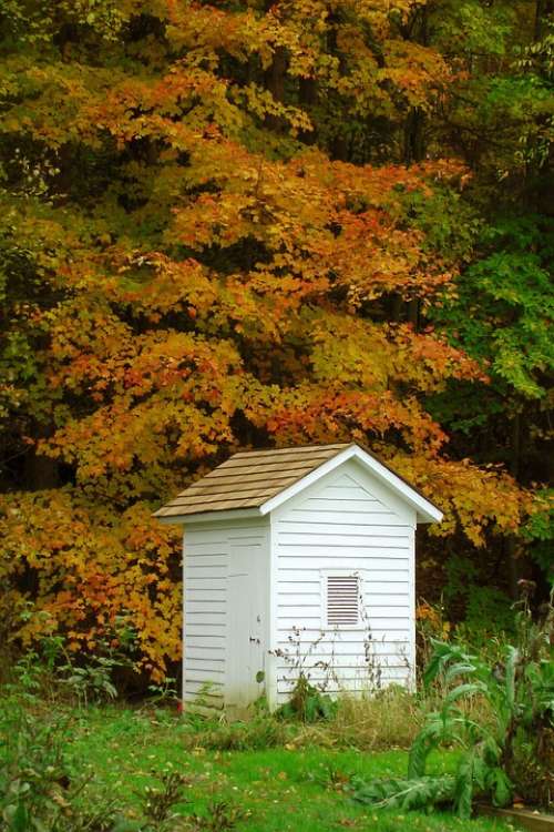 Outhouse Woods Trees White Painted Isolated