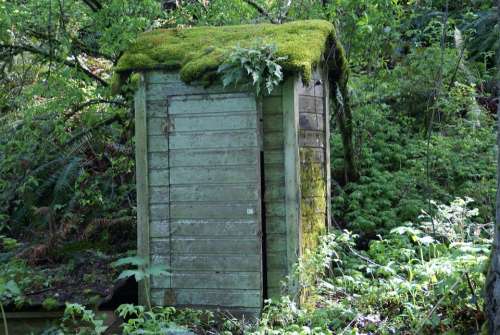 Outhouse Shed Building Toilet Woods Moss