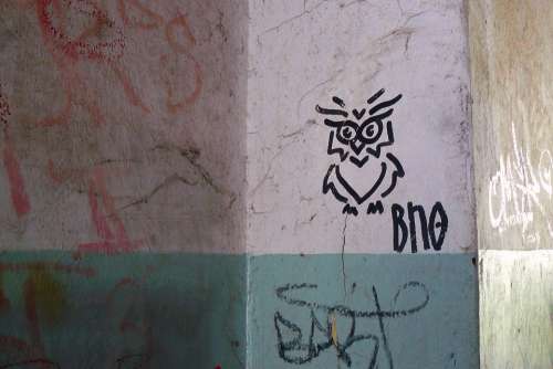 Owl Bird Birds Animal Graffiti Art Germany House
