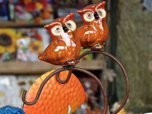 Owls Ceramic Potters Feather Nocturnal Night