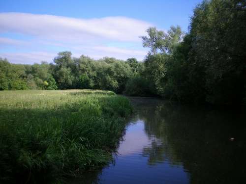 Oxford England River Nature Landscape Field